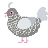 Mini dusty, a ash and mist chicken with a lace pattern