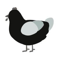 Pestilence, a black and silver chicken