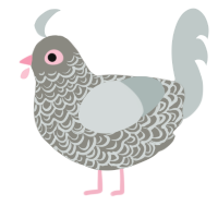 Pigeon, a ash and silver chicken with a double-lace pattern