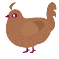 Mud, a brown chicken with a double-lace pattern