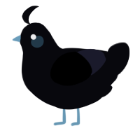 Blue Moon, a white chicken