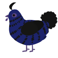 A navy and black chicken with a bar pattern
