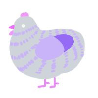A mist and lilac chicken with a bar pattern