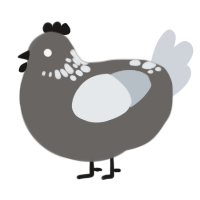 Dust Particle, a grey and mist chicken with a neck-speckle pattern