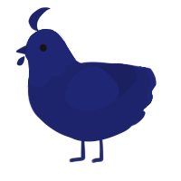 True Navy, a navy chicken with a head pattern