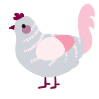 Pinkie Winkie, a mist and rose chicken with a half-bar pattern