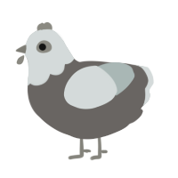 Monsieur Bones, a grey and silver chicken with a head pattern