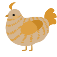A beige and orange chicken with a bar pattern
