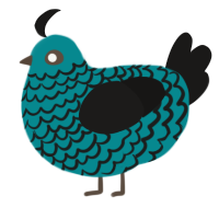 (unnamed), a teal and sable chicken with a lace pattern