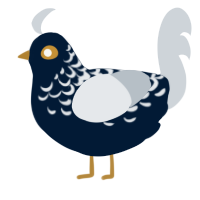 A tumblr and mist chicken with a half-lace pattern