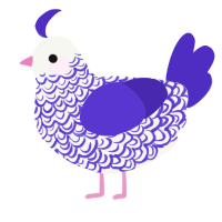 Indie, a white and indigo chicken with a double-lace pattern