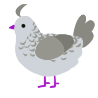 A mist and ash chicken with a half-lace pattern