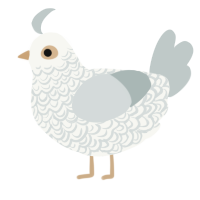 A white and silver chicken with a double-lace pattern
