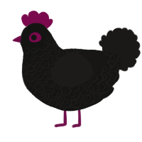 A black and sable chicken with a double-lace pattern