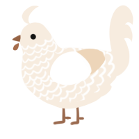 Latte, a cream chicken with a lace pattern