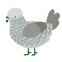 A silver and ash chicken with a lace pattern