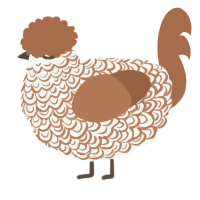 mr lace, a white and brown chicken with a double-lace pattern