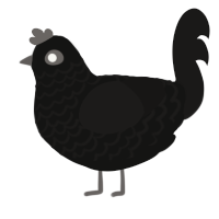 nocturne, a black and sable chicken with a lace pattern