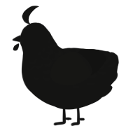 A black chicken with a half-lace pattern