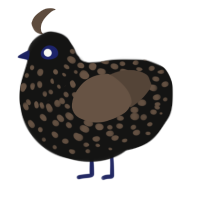 A black and bark chicken with a speckle pattern