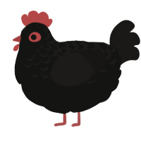 A black and sable chicken with a half-lace pattern
