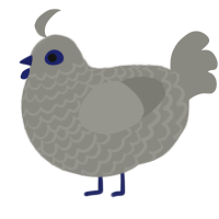 (unnamed), a ash chicken with a lace pattern