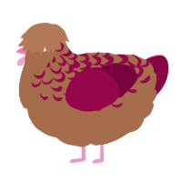 A brown and maroon chicken with a half-lace pattern