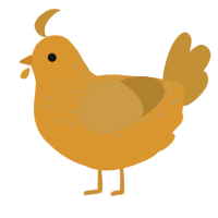 A orange and gold chicken with a half-lace pattern