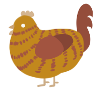 A ochre and russet chicken with a bar pattern