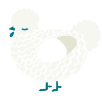 A white chicken with a lace pattern