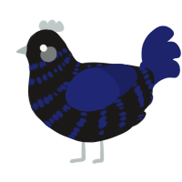 A sable and navy chicken with a bar pattern