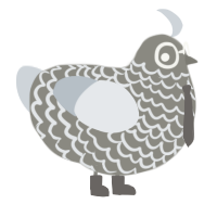 PC Destroyer, a ash and mist chicken with a lace pattern