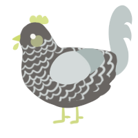 A grey and silver chicken with a lace pattern