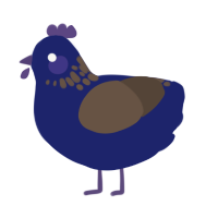 (unnamed), a navy and bark chicken with a neck-speckle pattern