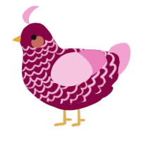 A maroon and pink chicken with a lace pattern