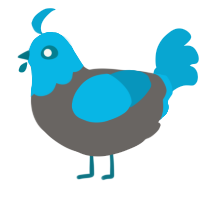 A grey and cerulean chicken with a head pattern