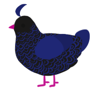 A sable and navy chicken with a double-lace pattern