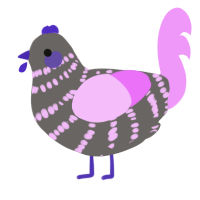 A grey and lavender chicken with a bar pattern