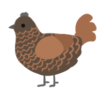 cadbury, a bark and brown chicken with a lace pattern