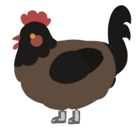 Luther, a bark and sable chicken with a head pattern