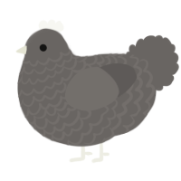 A grey chicken with a lace pattern