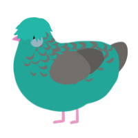 A turquoise and grey chicken with a half-lace pattern