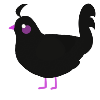 A black chicken with a double-lace pattern