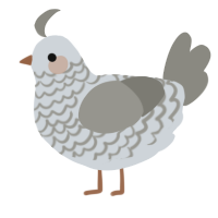 A mist and ash chicken with a lace pattern