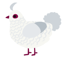 A white and mist chicken with a lace pattern