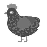 A teal and violet chicken with a speckle pattern