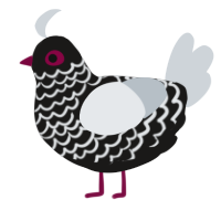 FS-T, a sable and mist chicken with a lace pattern