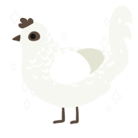 A white chicken with a half-lace pattern