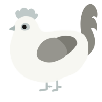 A white and ash chicken