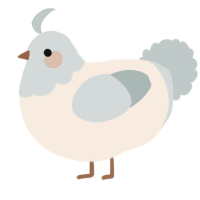 A cream and silver chicken with a head pattern